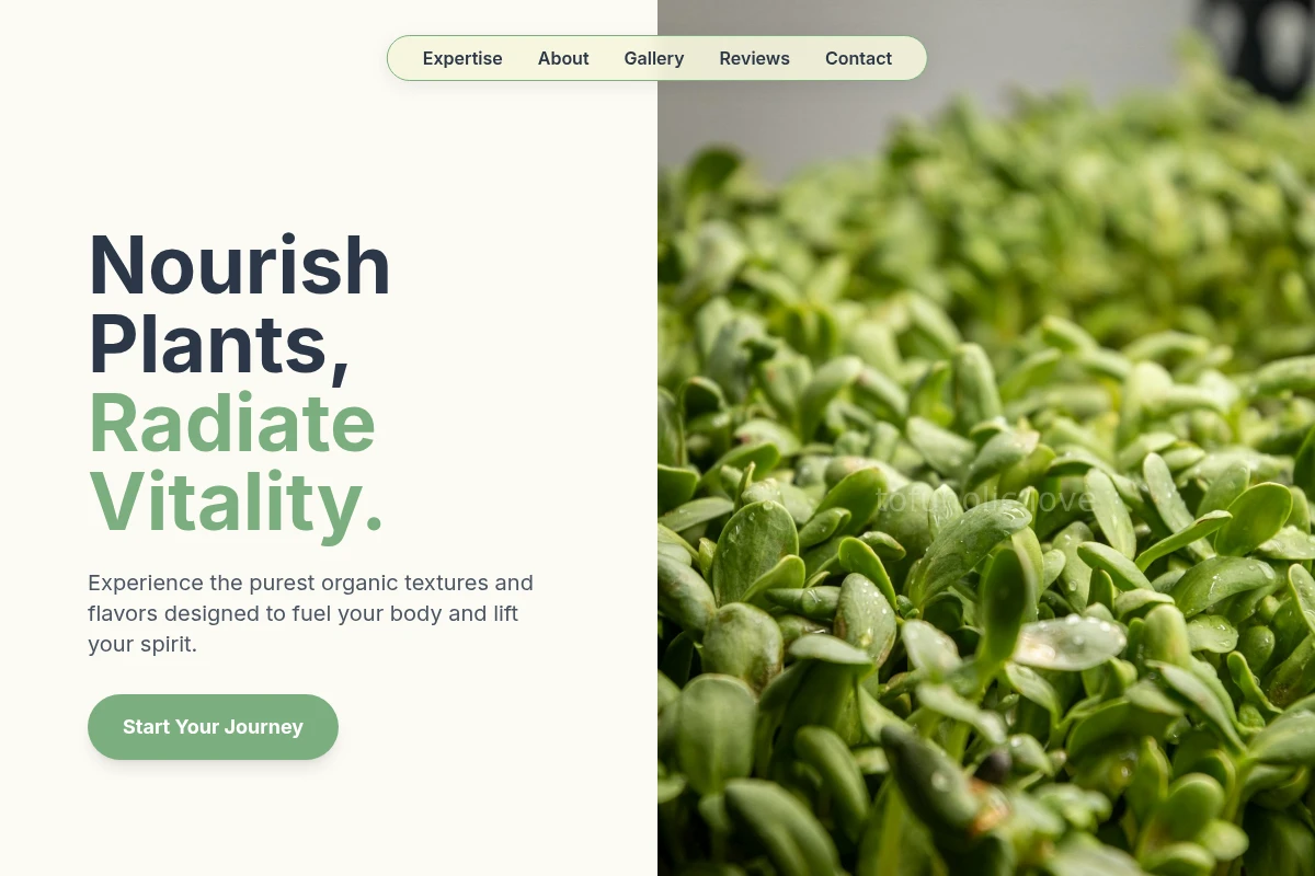 Sun Organic Food