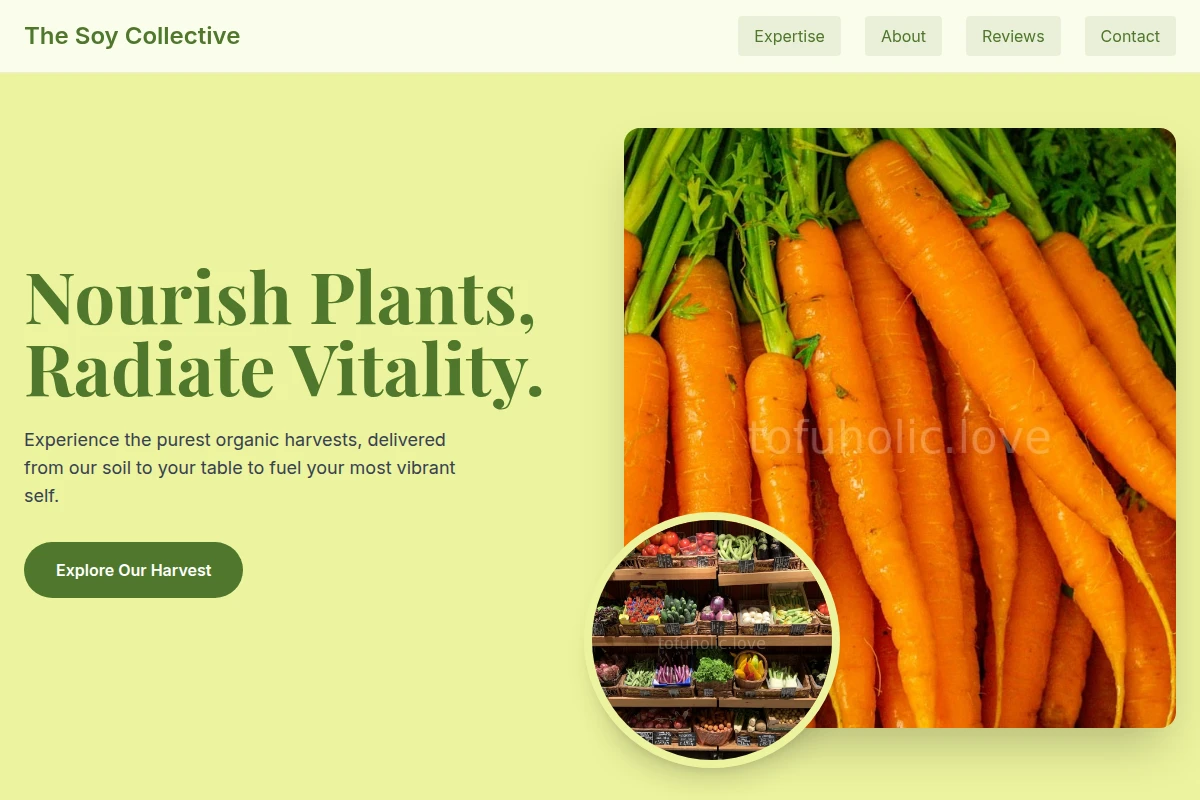 Savor Organic Food