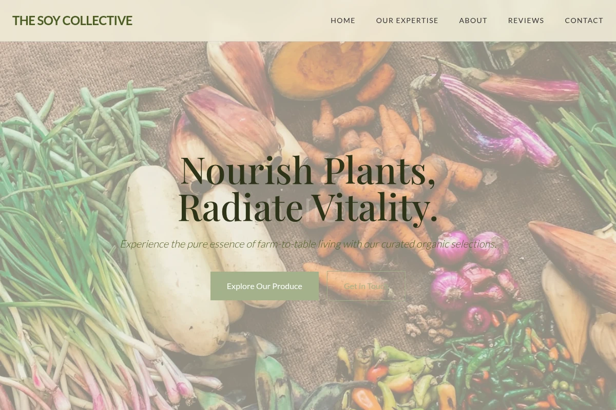 Stem Organic Food