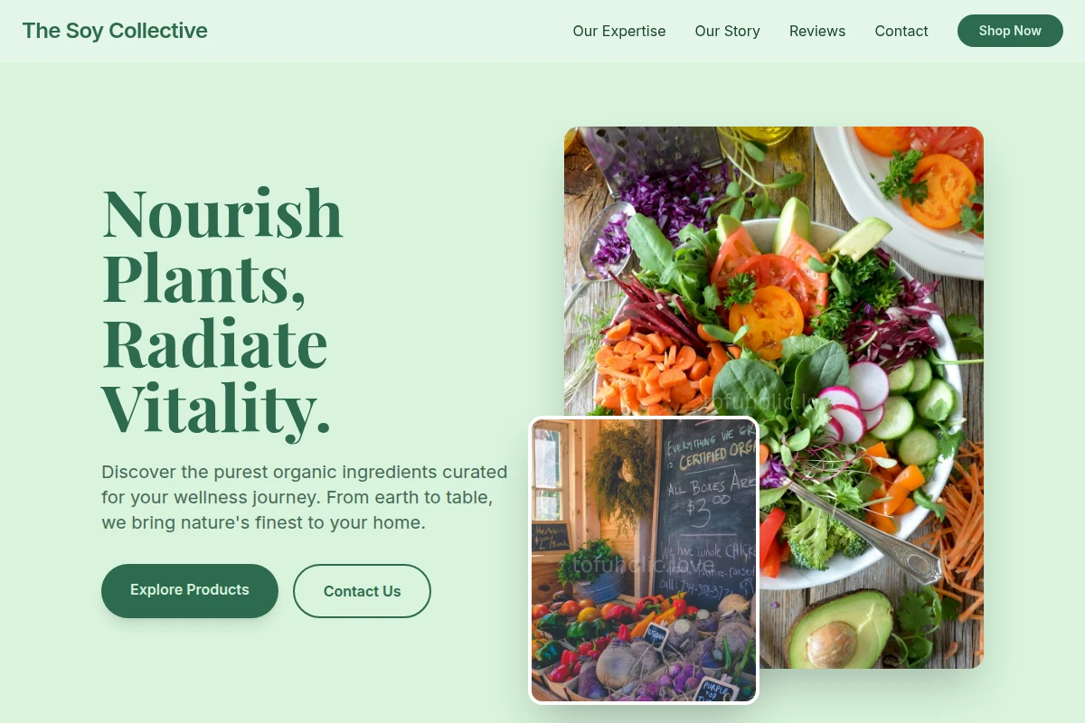 Bean Organic Food