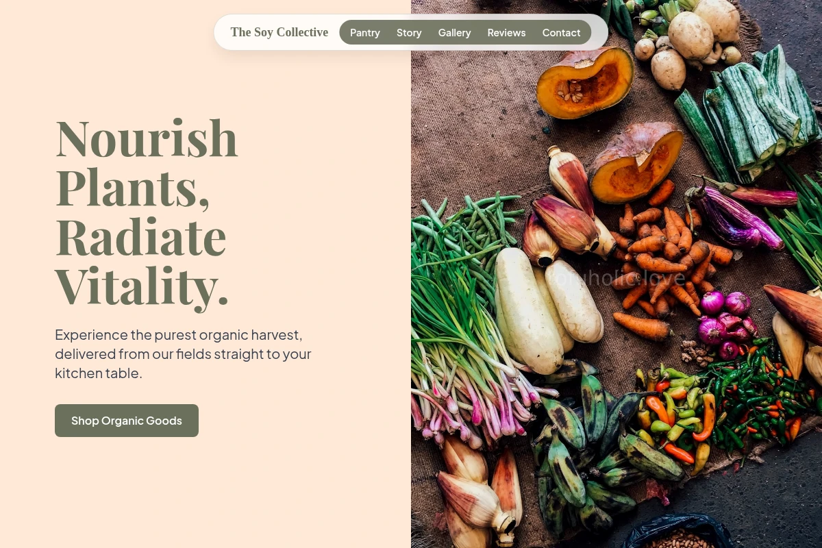 Bean Organic Food