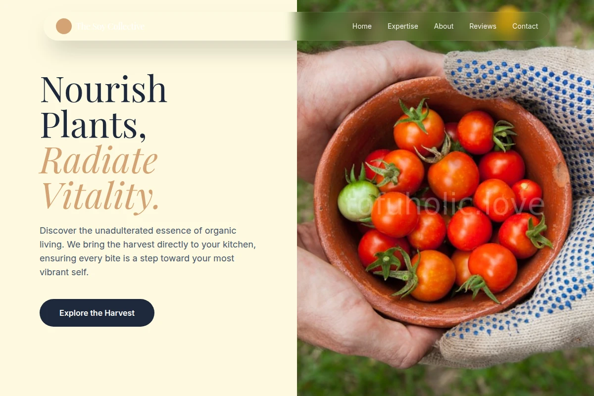 Stem Organic Food