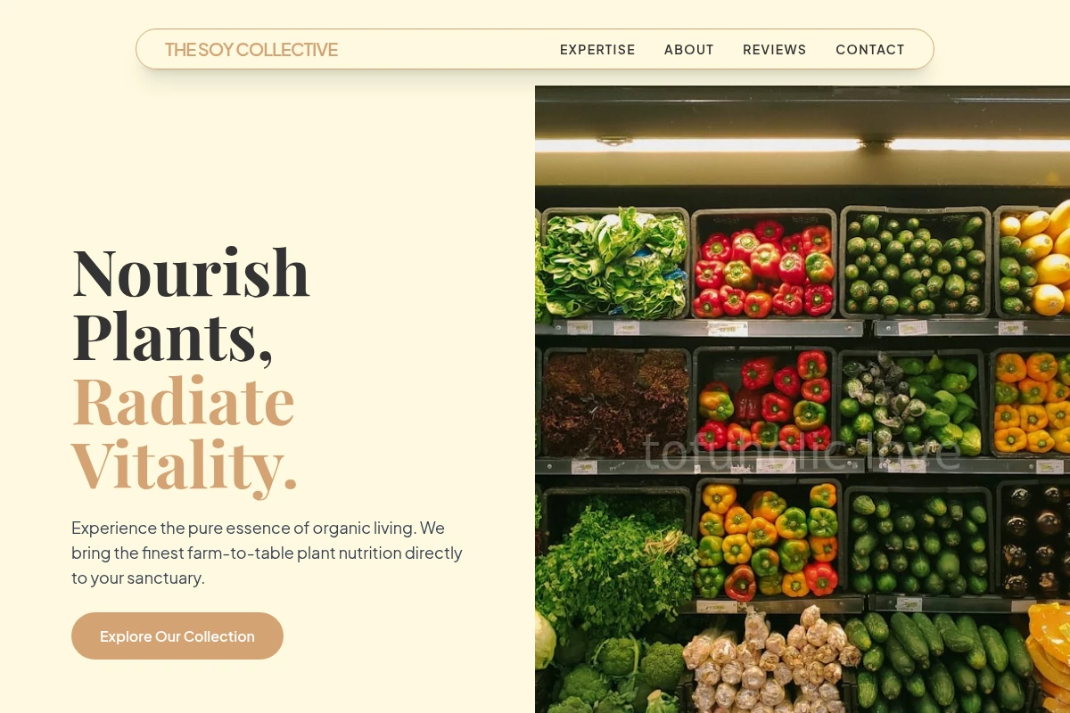 Organic Organic Food