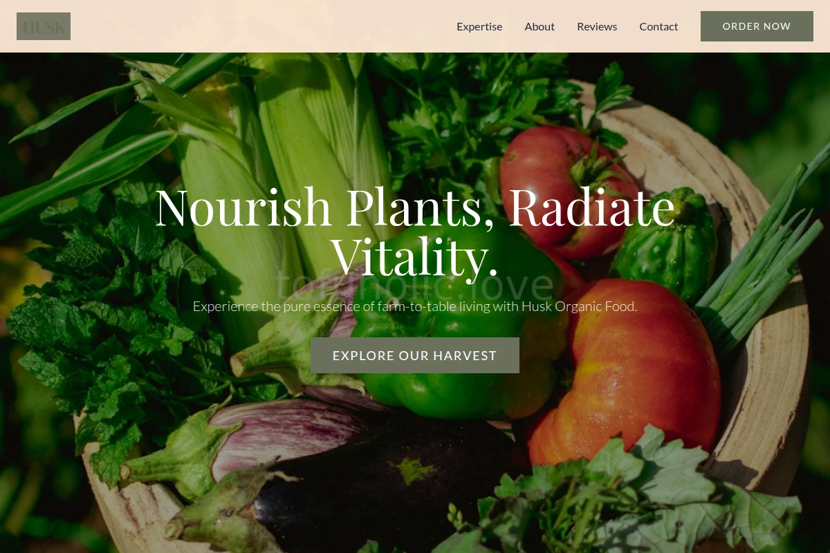 organic-food