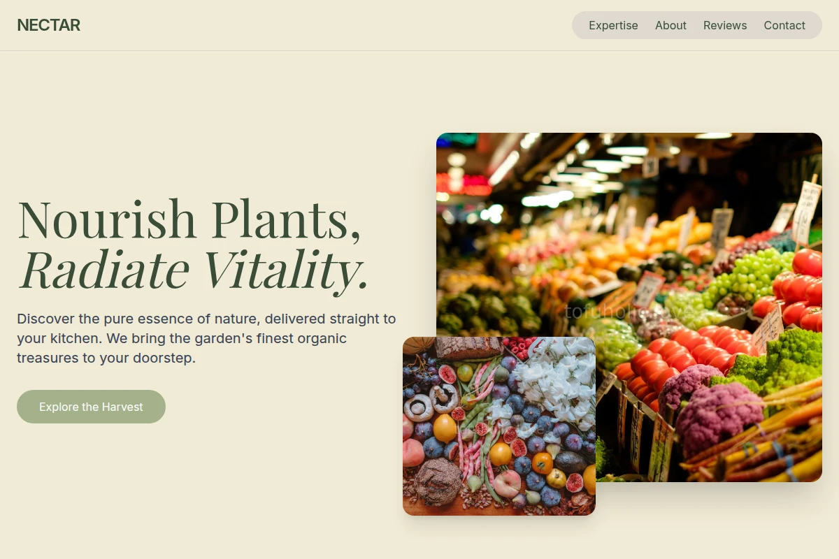 Nectar Organic Food