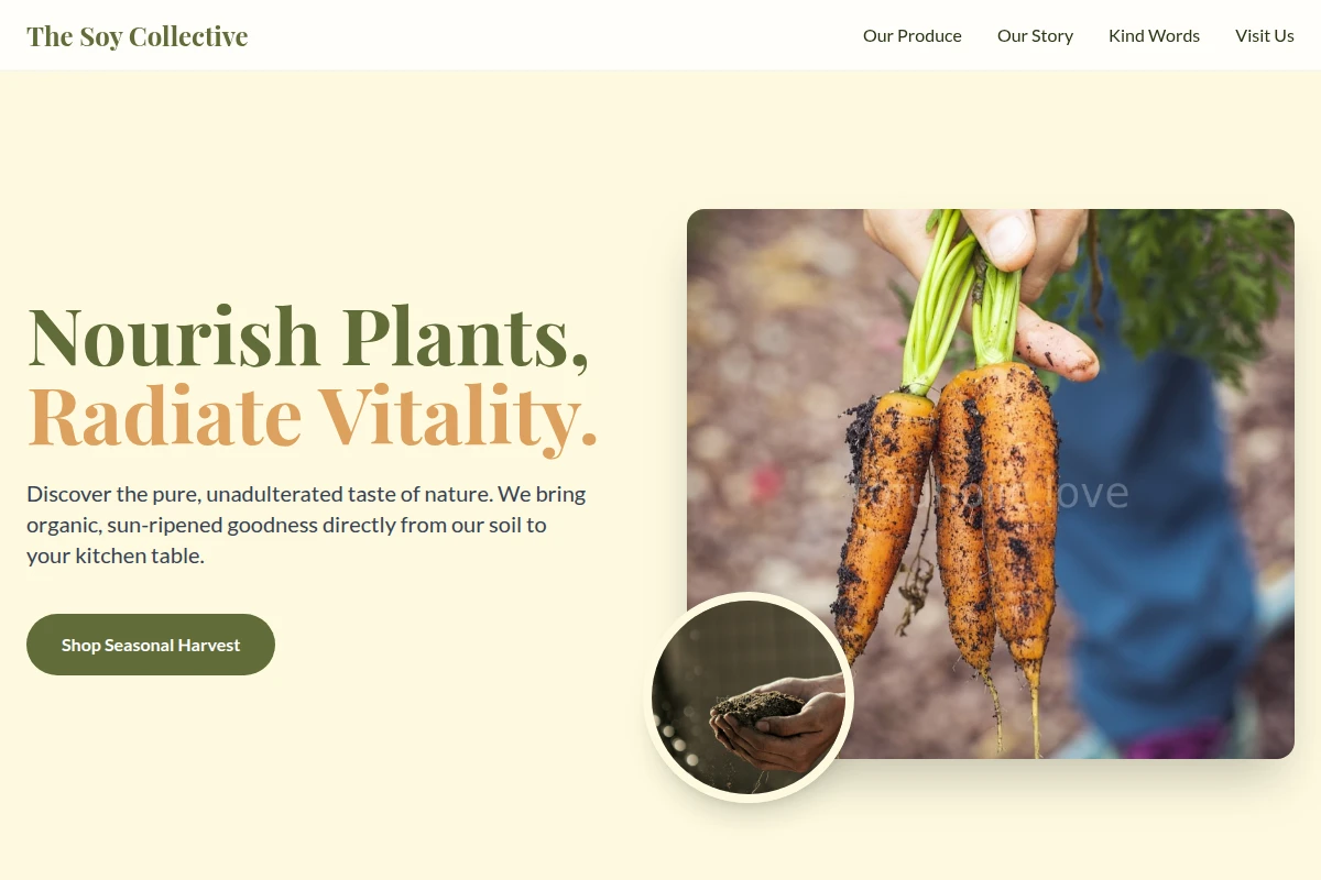 Bloom Organic Food
