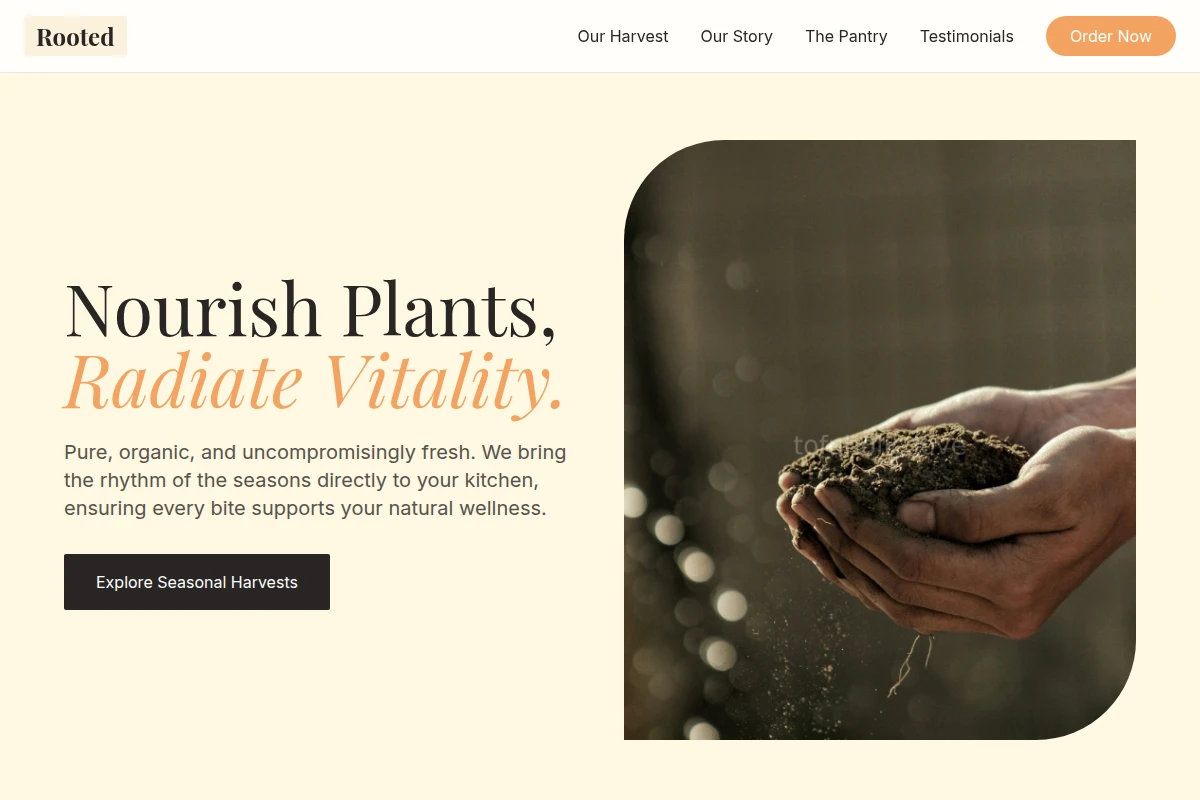 Rooted Organic Food