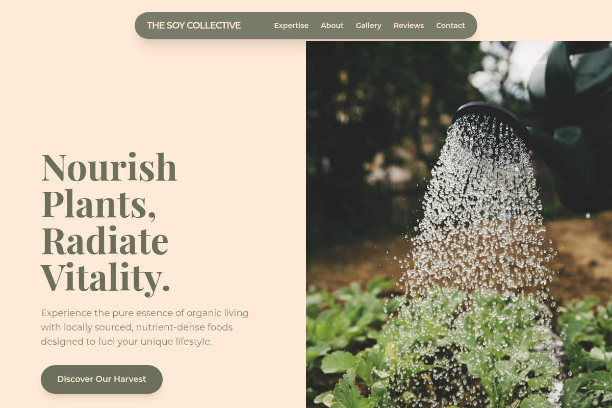 Pure Organic Food
